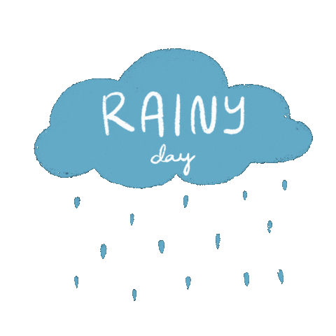 Rain Sticker