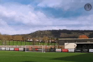 Box Hill Stadium GIF by Dorking Wanderers Football Club