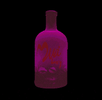 Bottle Luz GIF by Vodka Muà