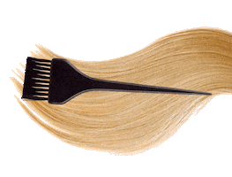 vogaspacolor Sticker