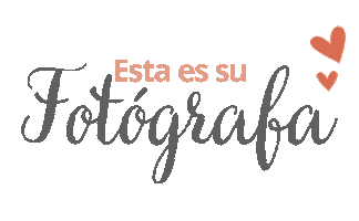 Photography Love Sticker