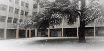 Campus Lettres et Sciences humaines de Nancy GIF