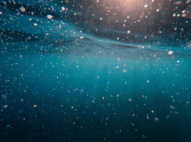 Party GIF