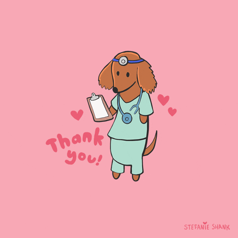 Kawaii gif. A dachshund wearing a nurses uniform stands on its hind legs and holds a clipboard. Hearts bounce around it and next to it is text that says, "Thank you!"