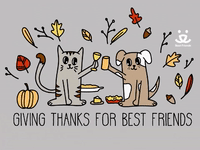 Friends Thanksgiving GIFs