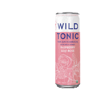 Jun Kombucha Sticker by WildTonic