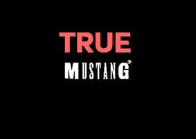 MUSTANG Jeans GIF