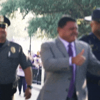Lsu Football Lsufb19 GIF by LSU Tigers