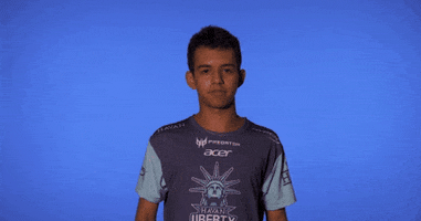 Havan Liberty Gaming GIF