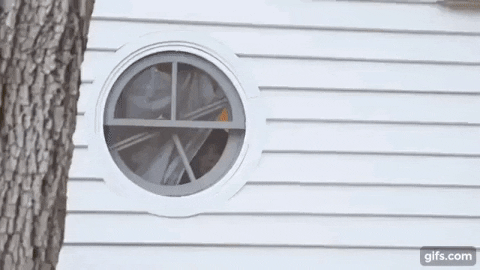 giphy.gif?cid=4d1e4f2965ca6055a4c3e75293