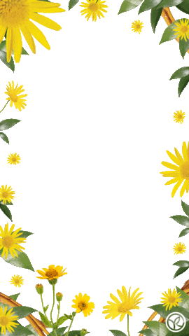 Fleuri Stickers - Find & Share on GIPHY