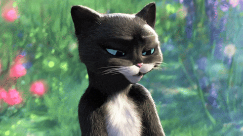 Gato de botas 2: O Último desejo