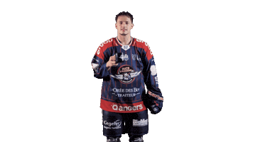 Herve Sticker by Les Ducs d'Angers