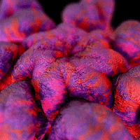 Purple Haze Animation GIF by xponentialdesign