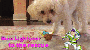 chuber toy story poodle buzz lightyear cosette GIF