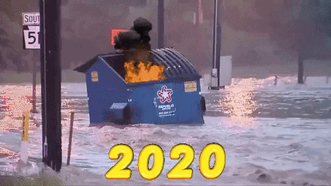Dumpster Fire GIF by MOODMAN - Find & Share on GIPHY
