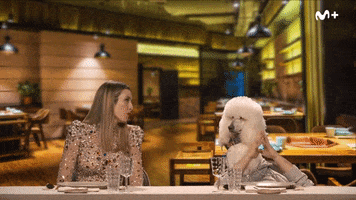 Comedia First Date GIF by Movistar Plus+