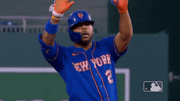 Ny Mets Wave GIF by New York Mets