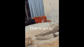 Wake Up GIF