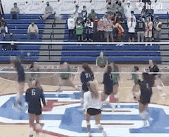 Volleyball Spike GIF by Hudl