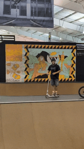 David Scooter GIF