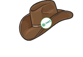 Faes Sticker by Faes.senares