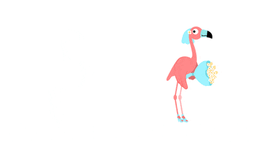 Tambu dancing wedding flamingo dans GIF