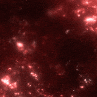 Animated Background Red Gifs Get The Best Gif On Giphy