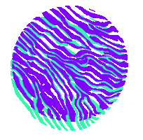 Animated Sticker