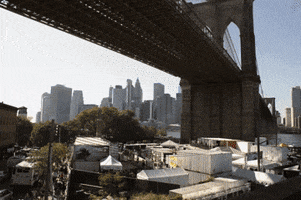 GIF by Photoville