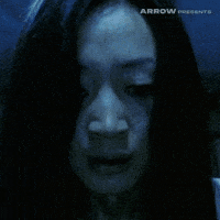 Peter Ho-Sun Chan Horror GIF by Arrow Video