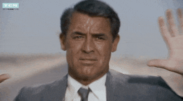 cary grant duck GIF by Turner Classic Movies