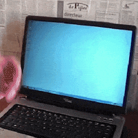 Web development. Explained in 7 funny GIFs