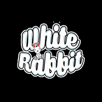 white rabbit GIF by Medusa Juice Co