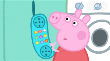 Peppa Pig Meme GIF by Nick Jr