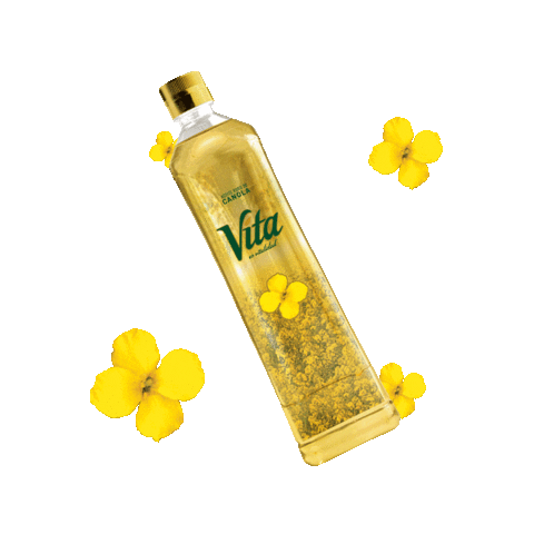 Canola Vita Sticker
