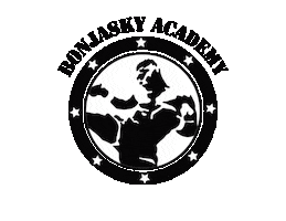 Remy Bonjasky Sport Sticker by Bonjasky Academy