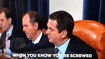 Impeachment Nunes Inquiry Impeachmentinquiryday4 GIF