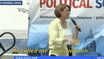2020 Election Snow Woman GIF by Election 2020