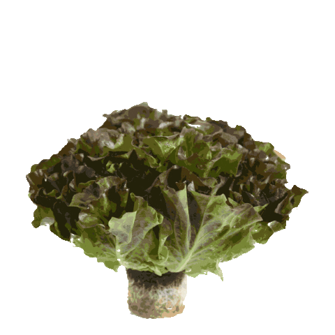 InspiredGreens Sticker