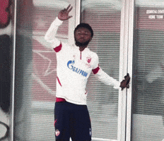 GIF by FK Crvena zvezda