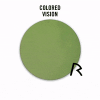 Colour Vision GIF by Rodenstock