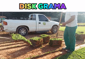 Grass Blumenau GIF by Disk Grama