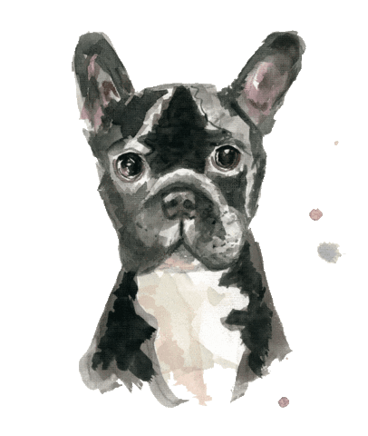 The Merchant Charleston Sticker