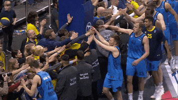 high five celebration GIF by EuroLeague