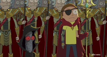 Season 4 Episode 6 GIF by Rick and Morty