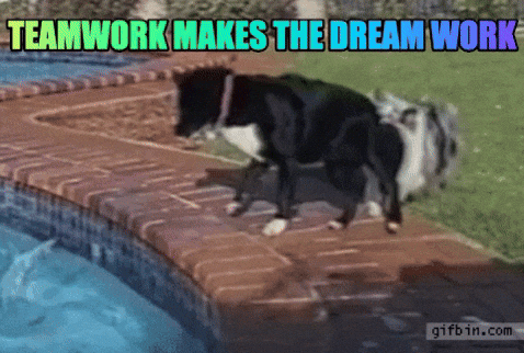 Dream-team GIFs - Get the best GIF on GIPHY