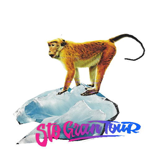 Sticker by Sto Gran Tour for iOS & Android GIPHY Sticker by Sto Gran Tour for iOS & Android GIPHY