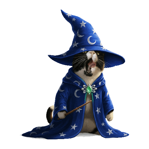 Harry Potter Cat Sticker