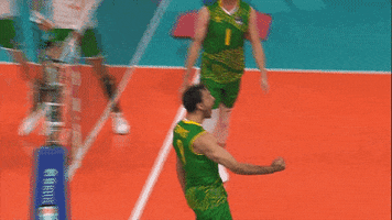 Celebrate Come On GIF by Volleyball World